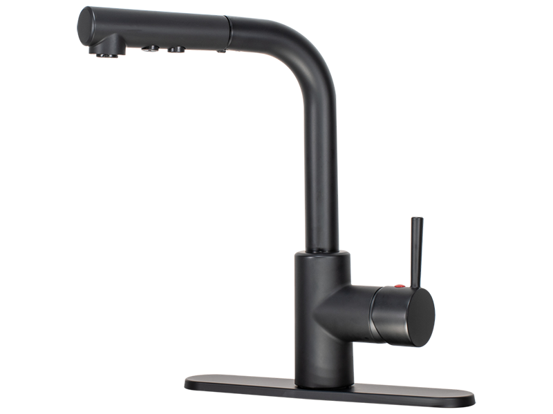 Single-Handle Pull-Out Kitchen Faucet | EZ-Flo