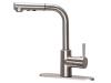 Single-Handle Pull-Out Kitchen Faucet - SKU: 10631