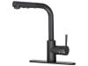 Single-Handle Pull-Out Kitchen Faucet - SKU: 10632